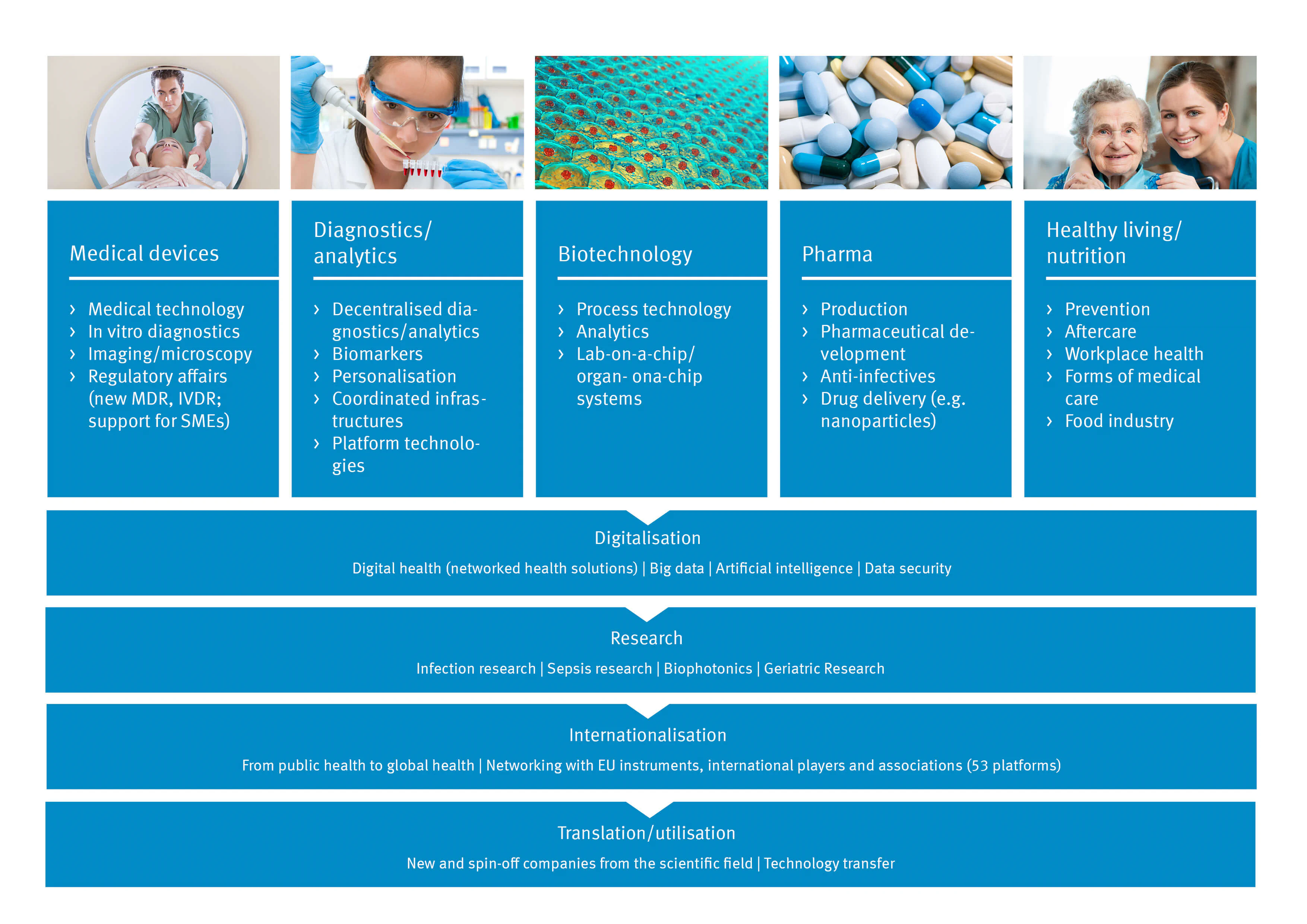 Bildbeschreibung / description: